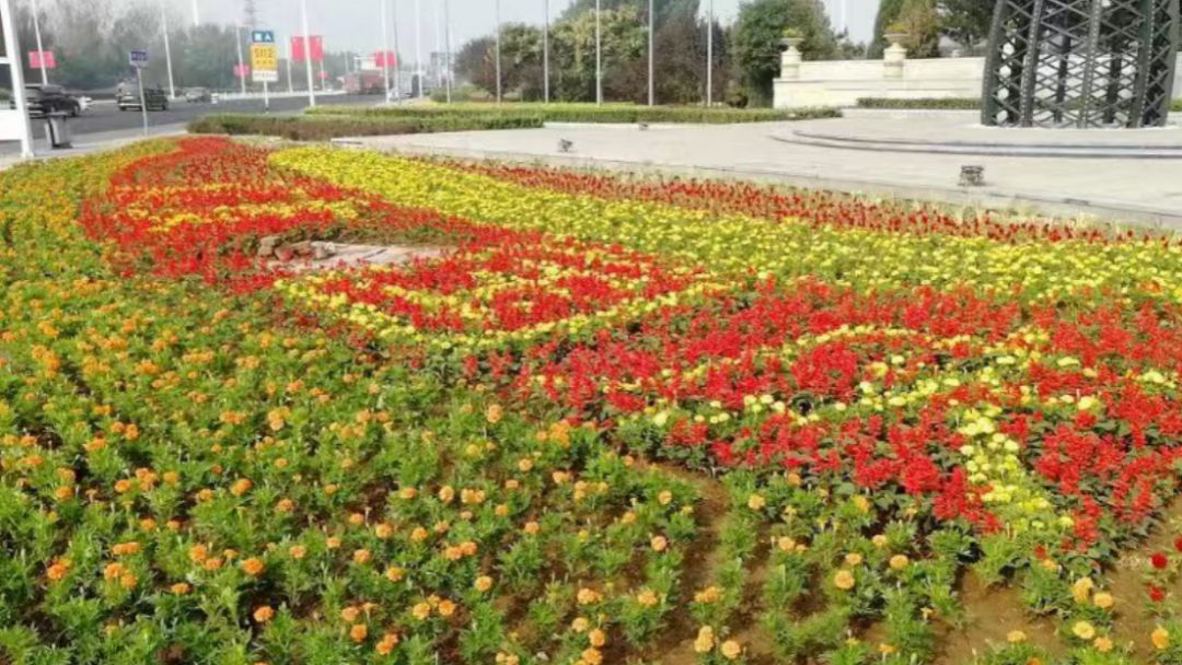 园区环境美 喜迎国庆节(图3) 园区环境美 喜迎国庆节(图3)