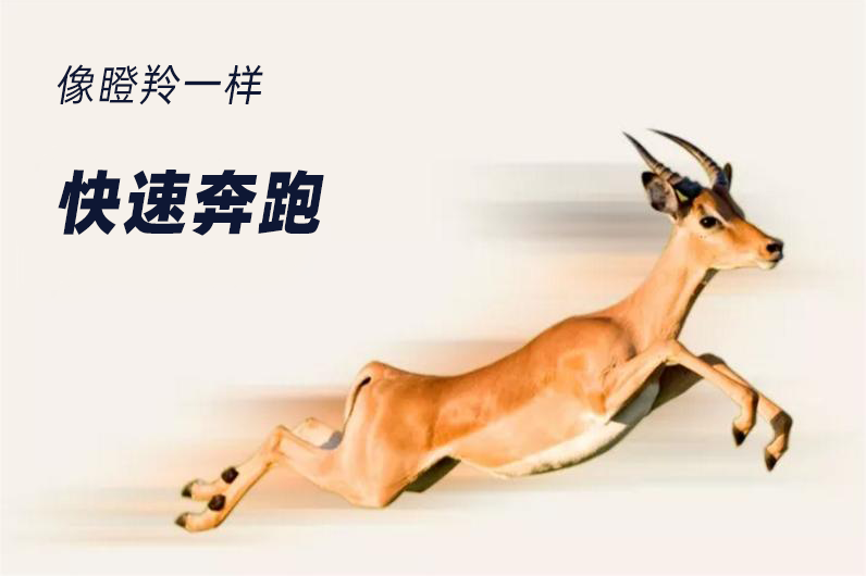 微信图片_20220808193238.png 微信图片_20220808193238.png