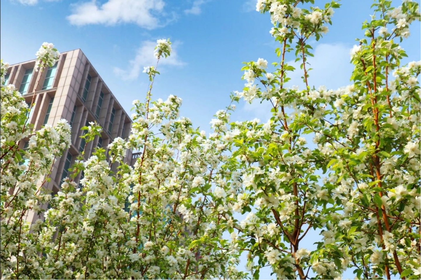 看，京津科技谷-精品无码国产自产野外拍-国产欧美日本一区二区-777777777少妇流水视频-日本理论片午午伦夜理片2024-亚洲第一免费视频-麻豆久久五月综合-亚洲变态另类专区丝袜自拍-97天堂国产在线观看“春色满园”！(图12)