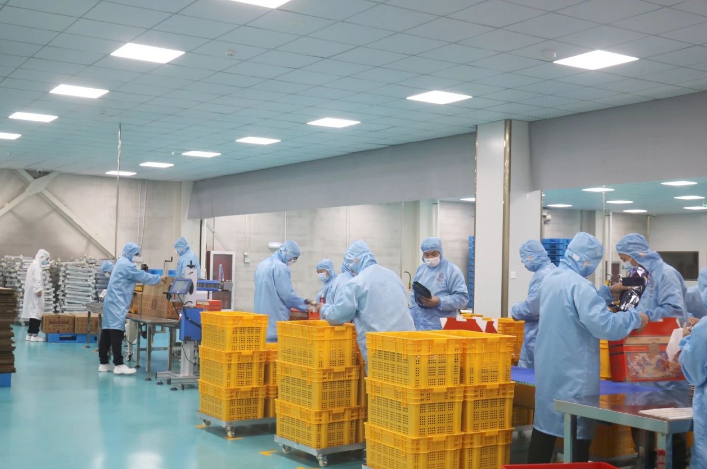 年产值1.5亿元！集味轩盛大开业！(图4)