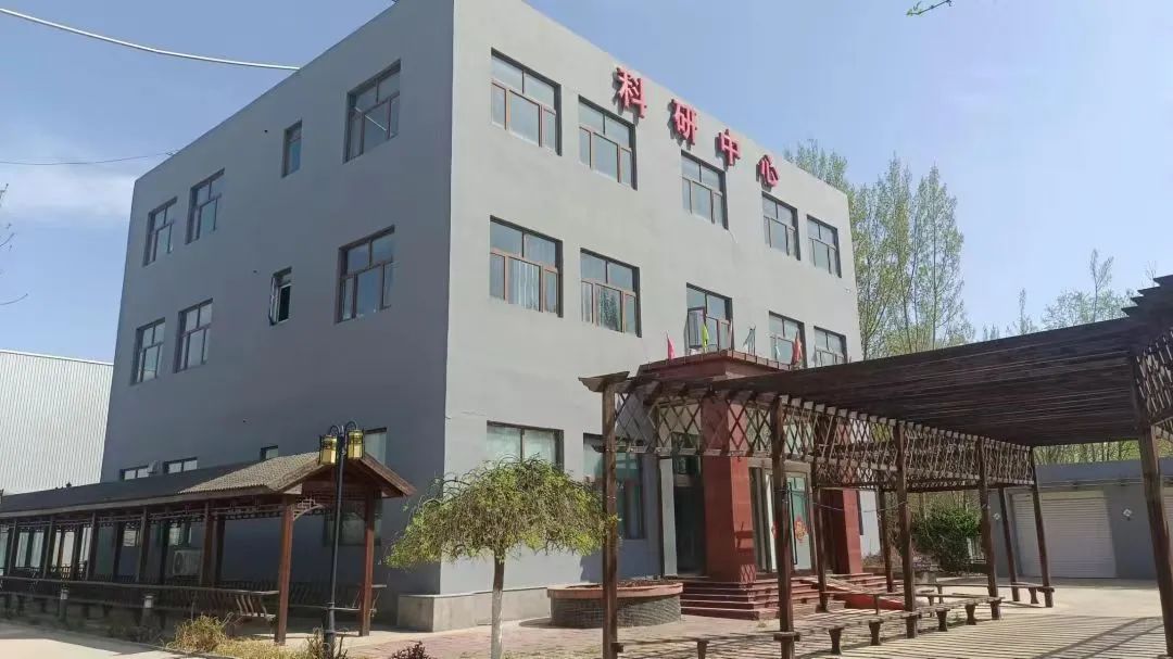 【党建领航促发展】坚持“三强化三提升”，以高质量党建引领高质量发展(图15)